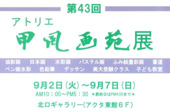 43AgGb扑W