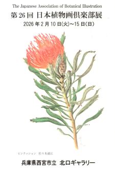 ��26����{�A����俱�y���W